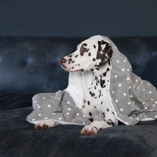 Dog & Puppy Blanket in Spots & Stripes
