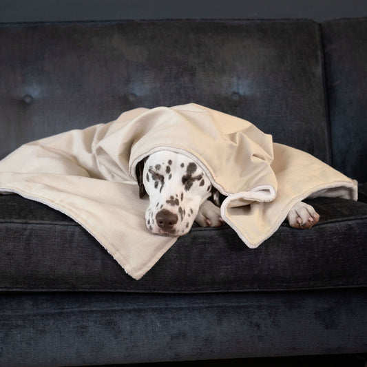 Dog & Puppy Blanket in Savanna Bone