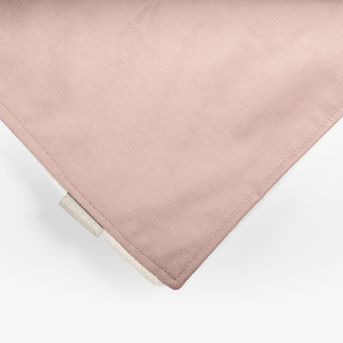 Dog & Puppy Blanket in Blossom Velvet, view 8