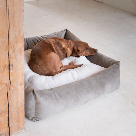 Box Bed With Removable Covers In Clay Velvet