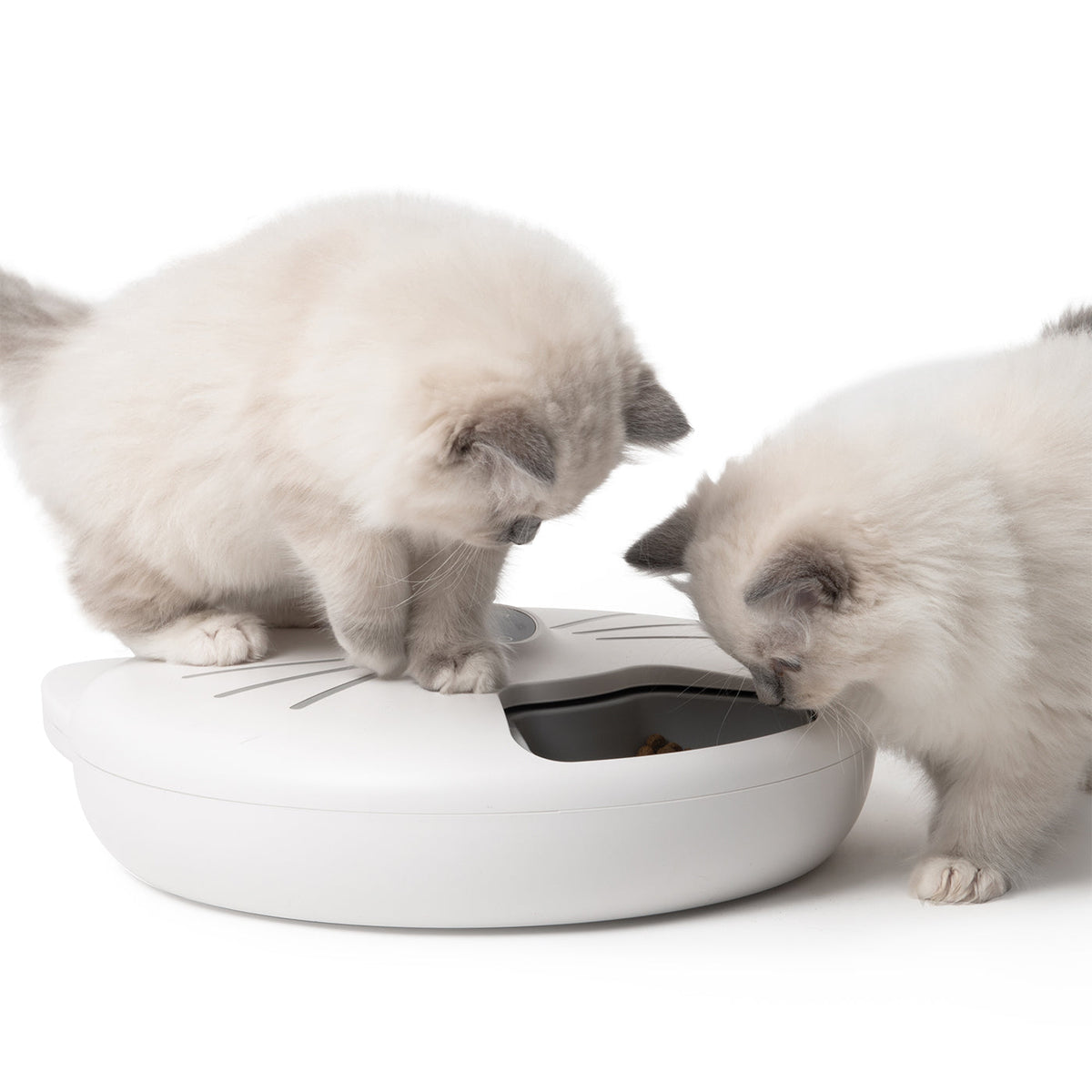 Catit Pixi Smart 6 Meal Feeder, view 6