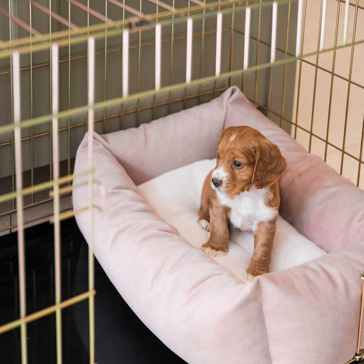 Dog Crate with Cosy & Calming Puppy Crate Bed in Blossom Velvet, view 3