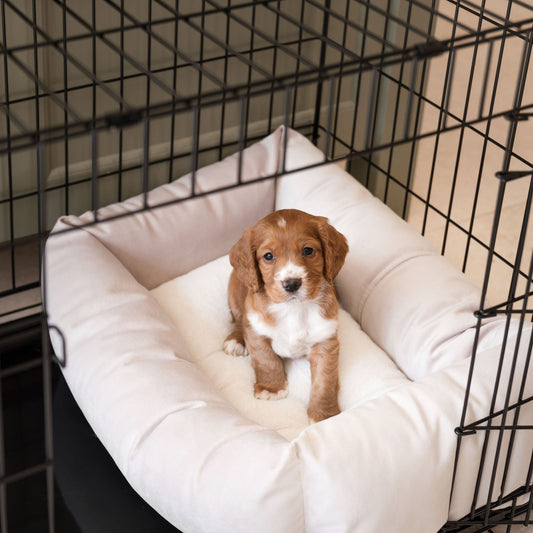 Cosy & Calming Puppy Crate Bed With Removable Covers In Oyster Velvet