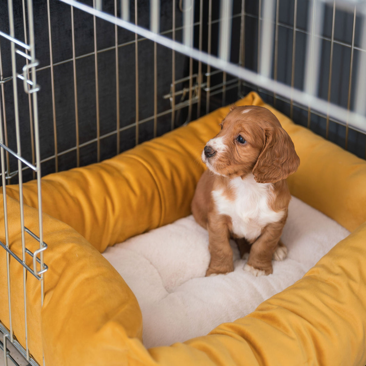 Dog Crate with Cosy & Calming Puppy Crate Bed in Saffron Velvet, view 3