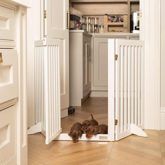 Medium White Wooden Dog Gate