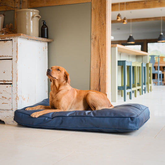 Dog Cushion With Removable Cover in Rhino Tough Pacific Faux Leather