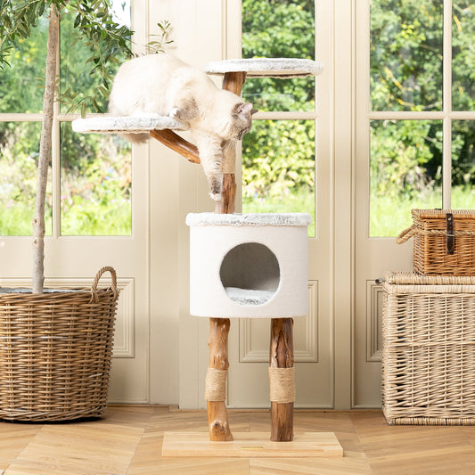 Back to Nature The High Rise Cat Scratch Tree