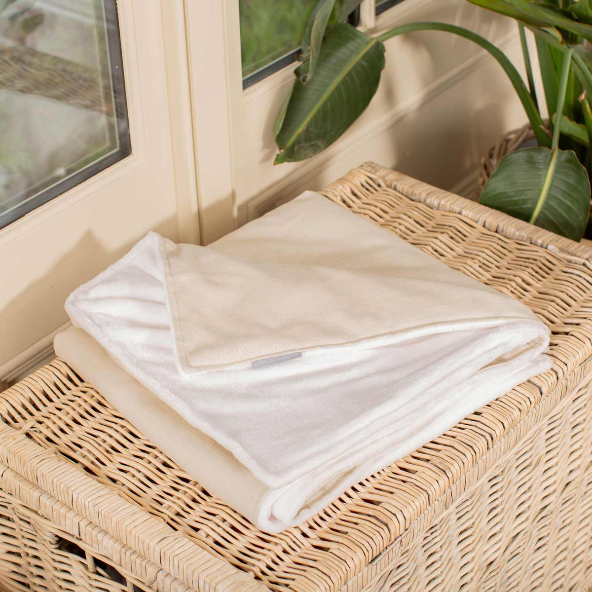 Cat & Kitten Blanket in Savanna Bone