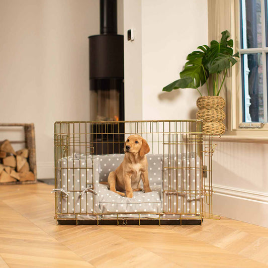 Dog Crate with Cushion & Bumper in Grey Spot