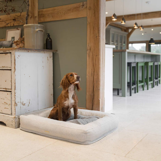 Comfort Cube Dog Bed in Ivory