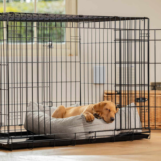 Dog Crate with Cosy & Calming Puppy Crate Bed in Inchmurrin Ground