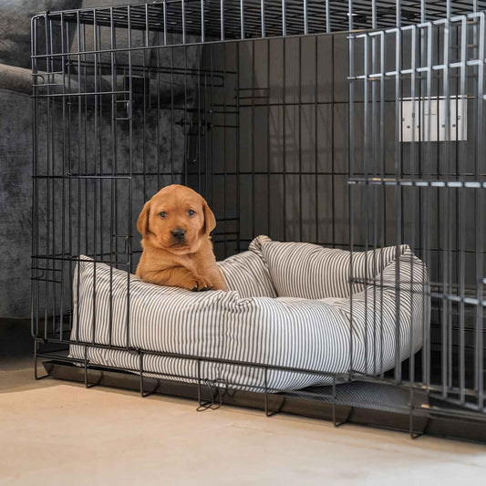 Cosy & Calming Puppy Crate Bed With Removable Covers in Regency Stripe