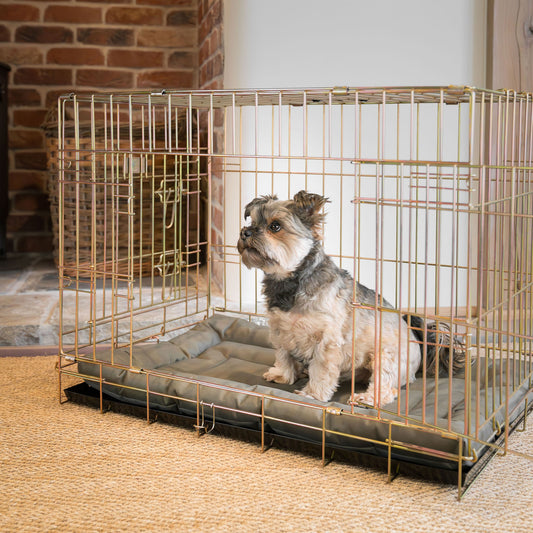 Dog Crate Mat in Forest