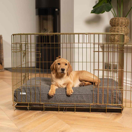 Gold Dog Crate with Cushion in Bouclé