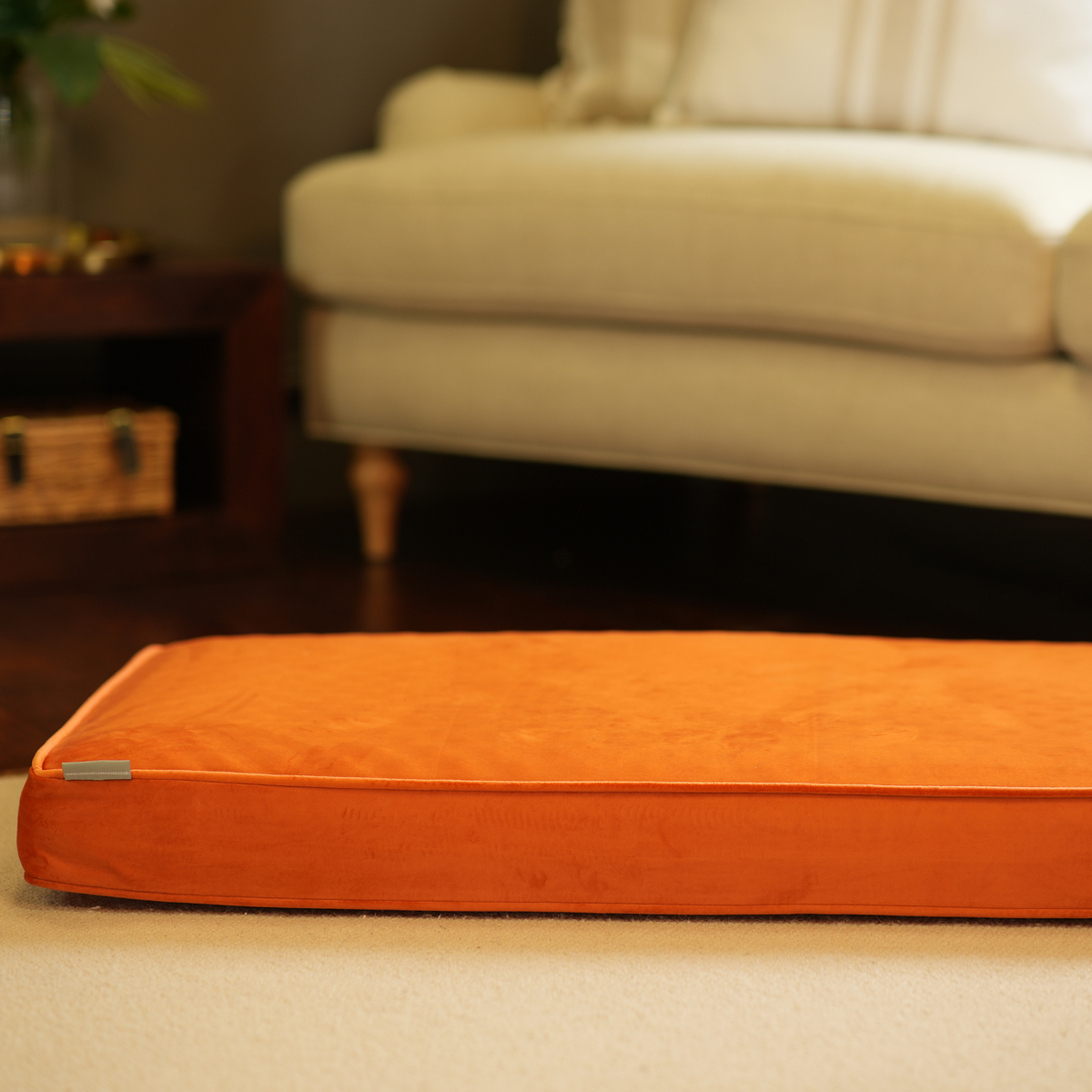 Dog Cushion in Pumpkin Velvet, view 14