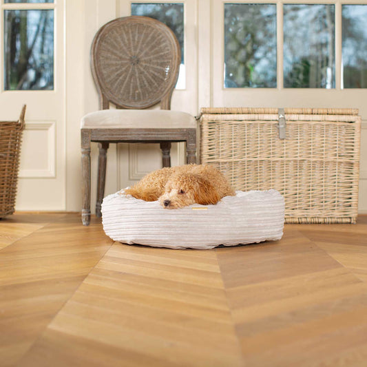 Donut Bed With Removable Covers in Light Grey Essentials Plush