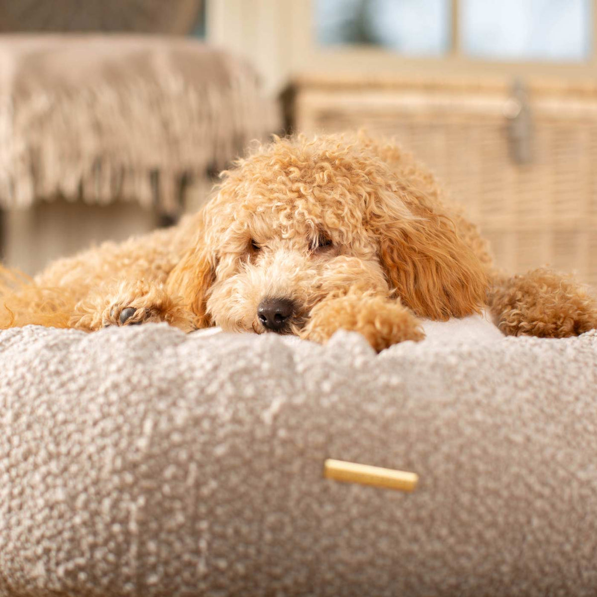 Donut Bed With Removable Covers in Mink Bouclé, view 8
