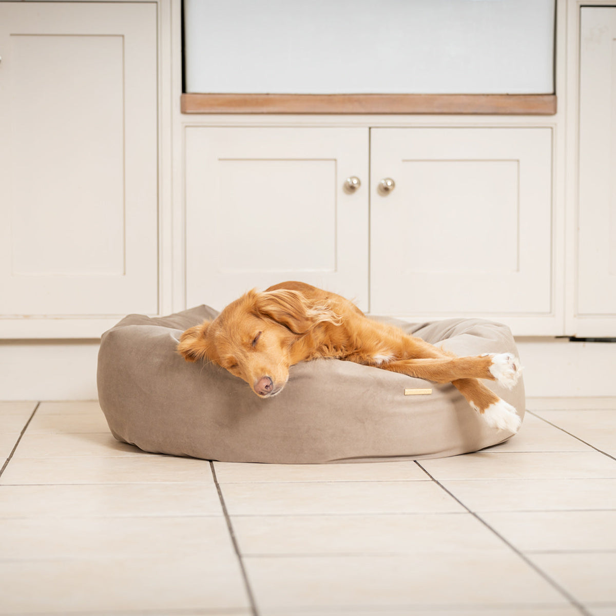 Donut Bed With Removable Covers in Clay Velvet, view 5