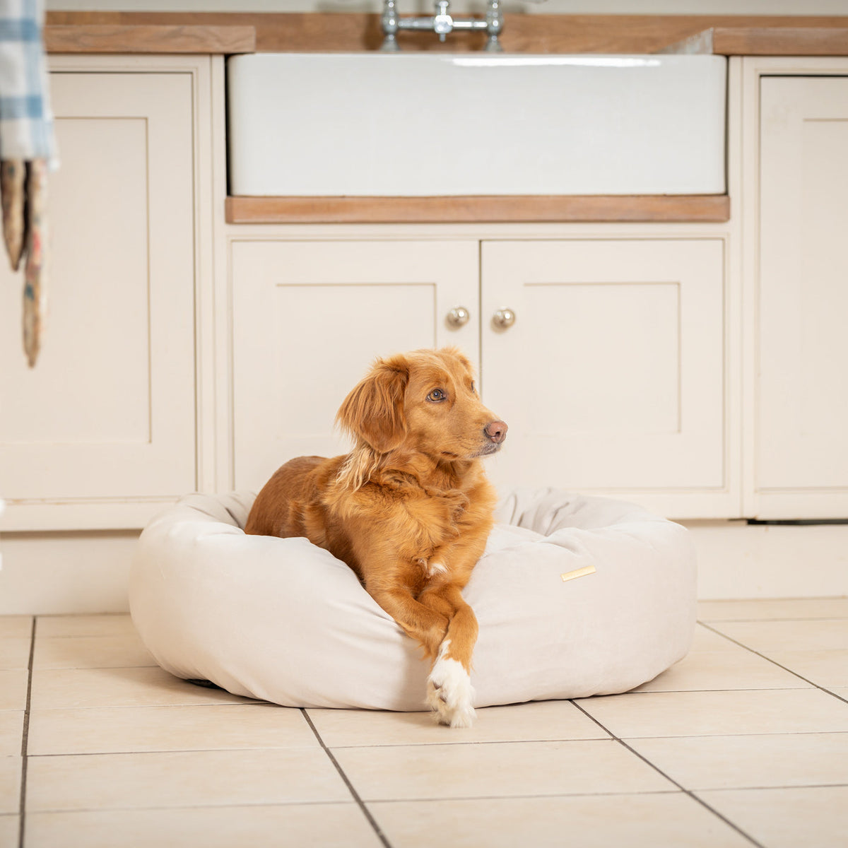 Donut Bed With Removable Covers in Oyster Velvet, view 3