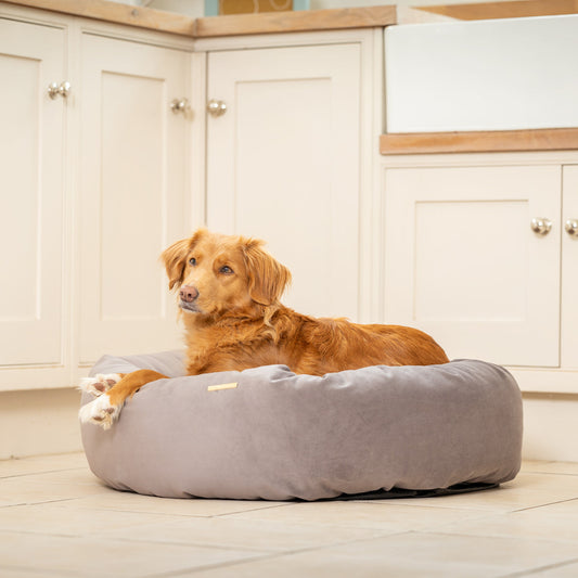 Donut Bed With Removable Covers in Silt Velvet