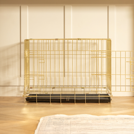 Special Edition Heavy Duty Deluxe Dog Crate in Champagne Gold