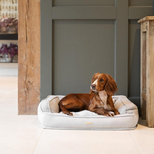 Deep Sleep Dog Bed in Alabaster