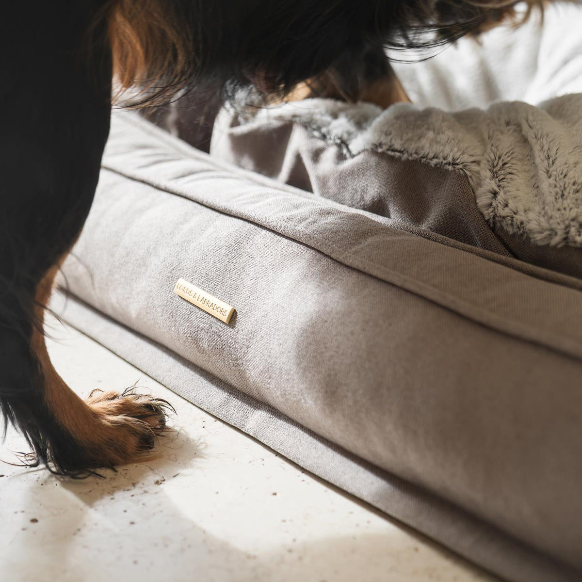 Deep Sleep Dog Bed in Putty, view 5