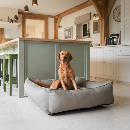 Box Bed With Removable Covers in Rhino Tough Camel Faux Leather
