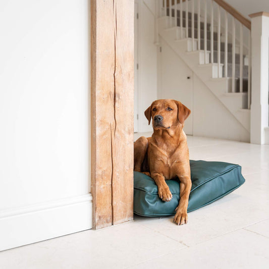 Dog Cushion With Removable Cover in Rhino Tough Forest Faux Leather