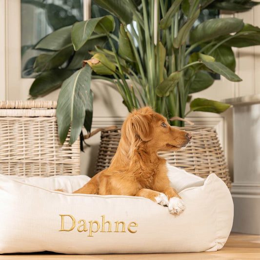 Box Bed With Removable Covers in Savanna Bone