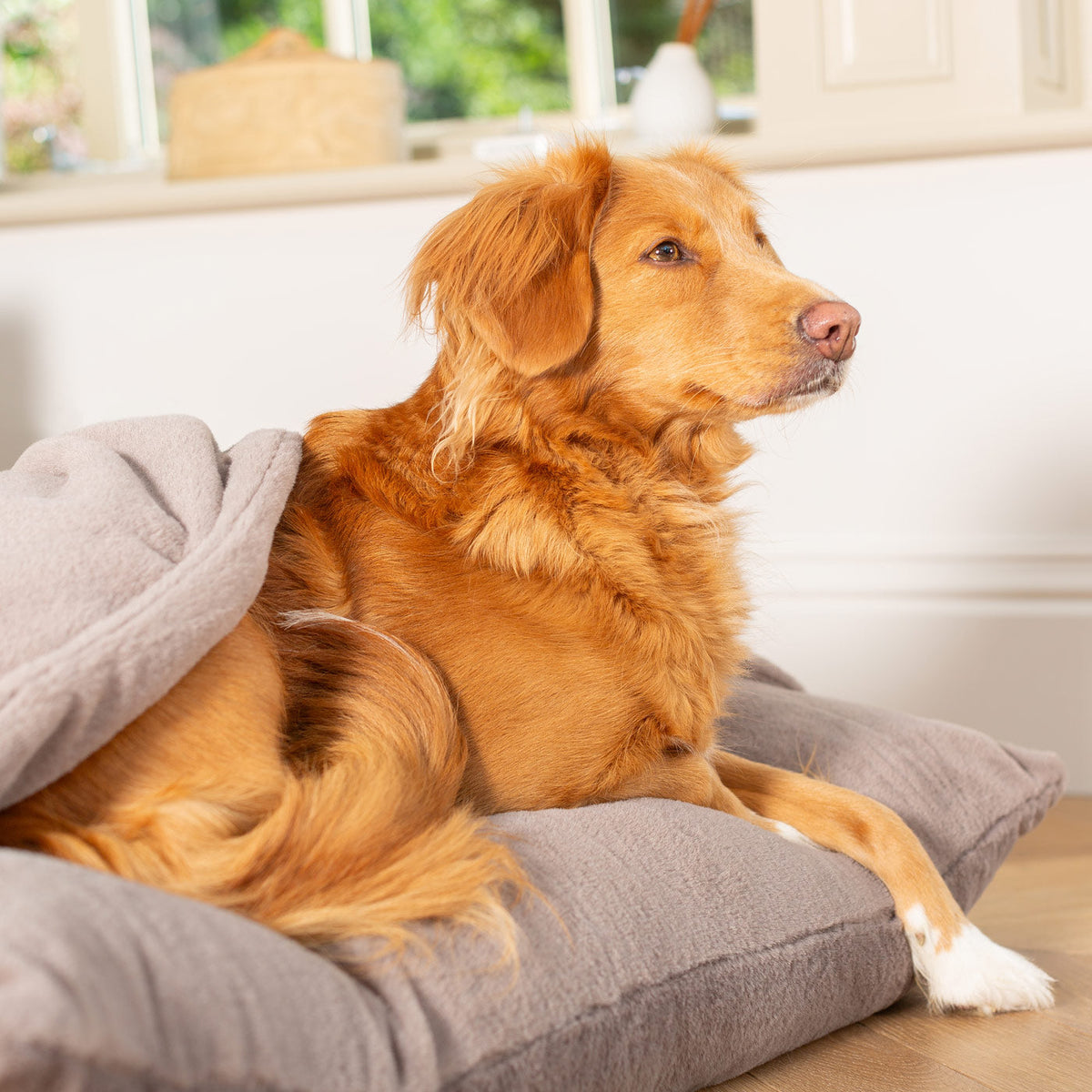 Sleepy Burrows Bed With Removable Cover in Calming Anti-Anxiety Fawn Faux Fur, view 6