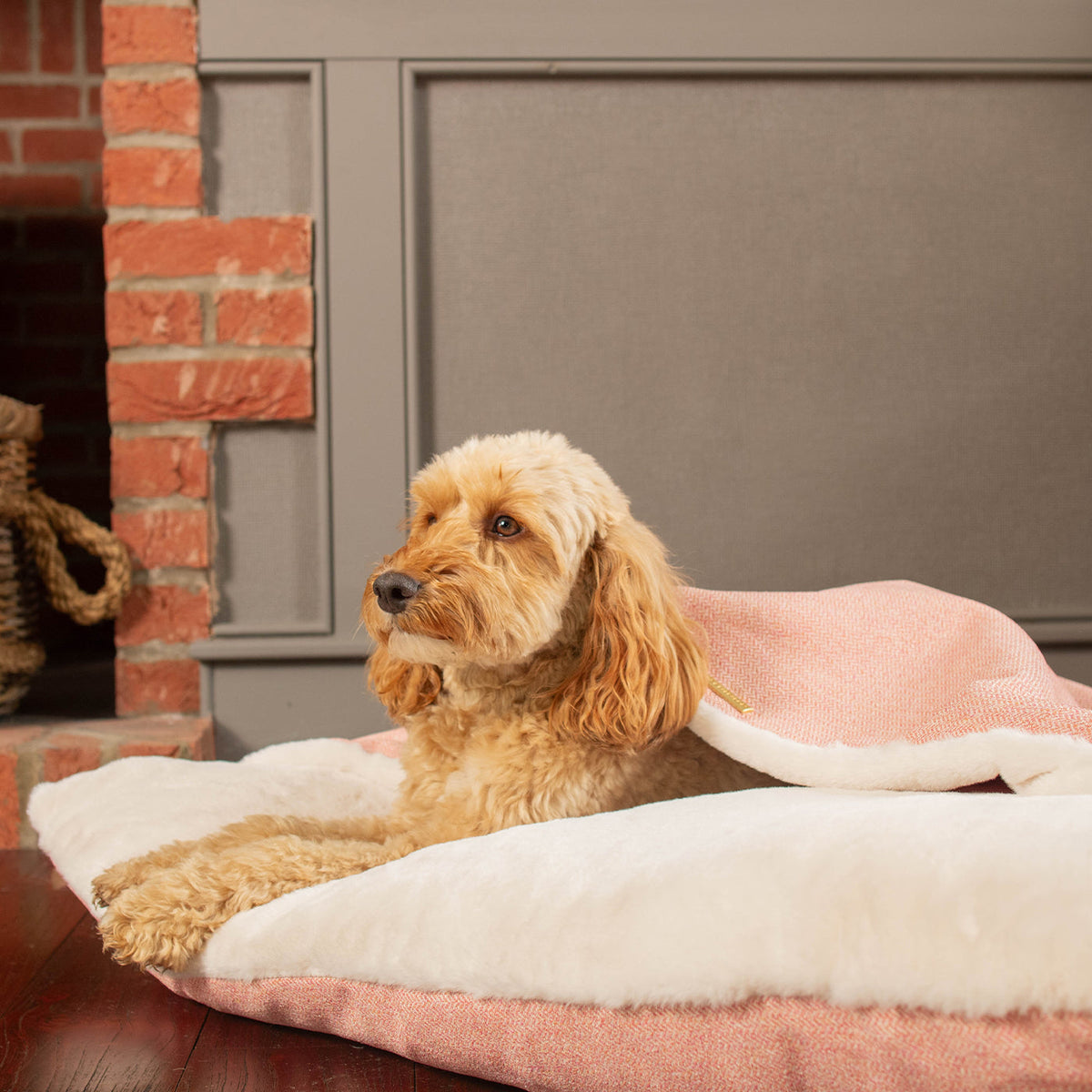 Sleepy Burrows Bed With Removable Cover In Peony Orkney Tweed