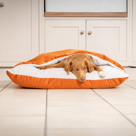Sleepy Burrows Bed With Removable Cover In Pumpkin Velvet
