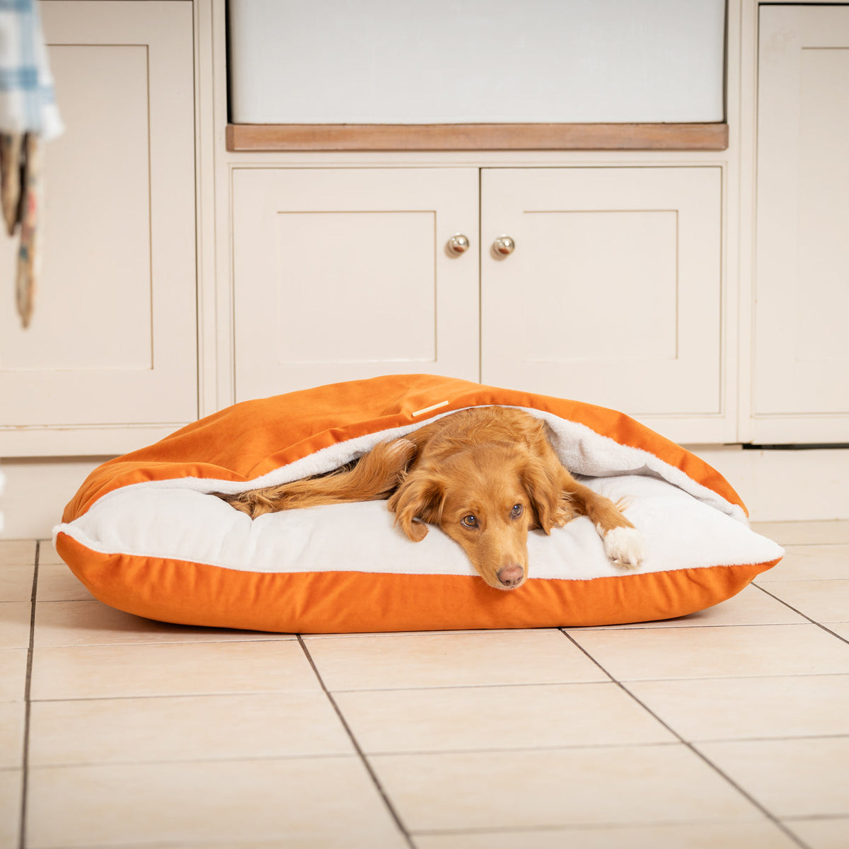 Sleepy Burrows Bed With Removable Cover In Pumpkin Velvet, view 6