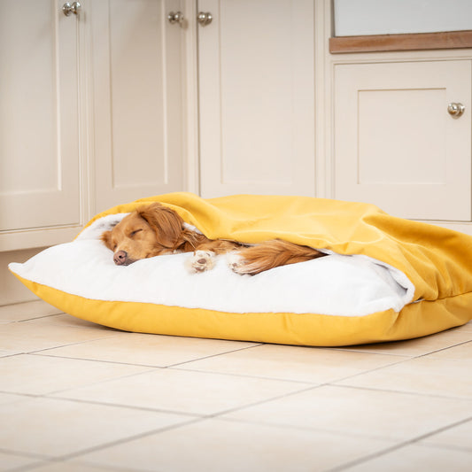 Sleepy Burrows Bed With Removable Cover In Saffron Velvet