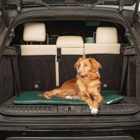 Travel Mat in Forest Rhino Tough Faux Leather