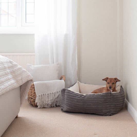 Box Bed With Removable Covers in Essentials Plush