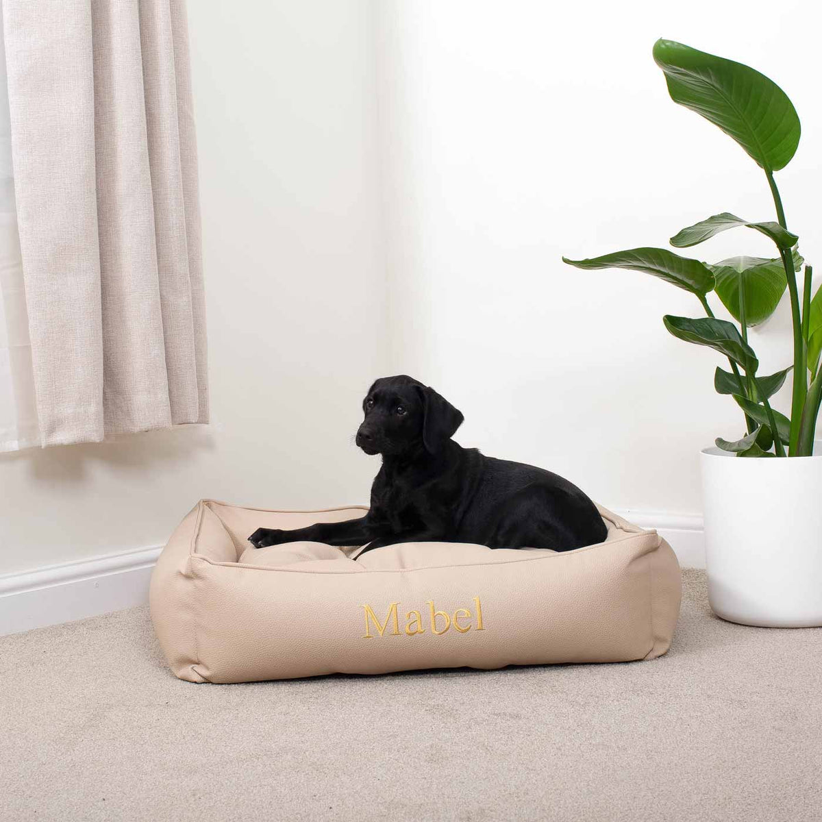Box Bed With Removable Covers in Rhino Tough Sand Faux Leather, view 7