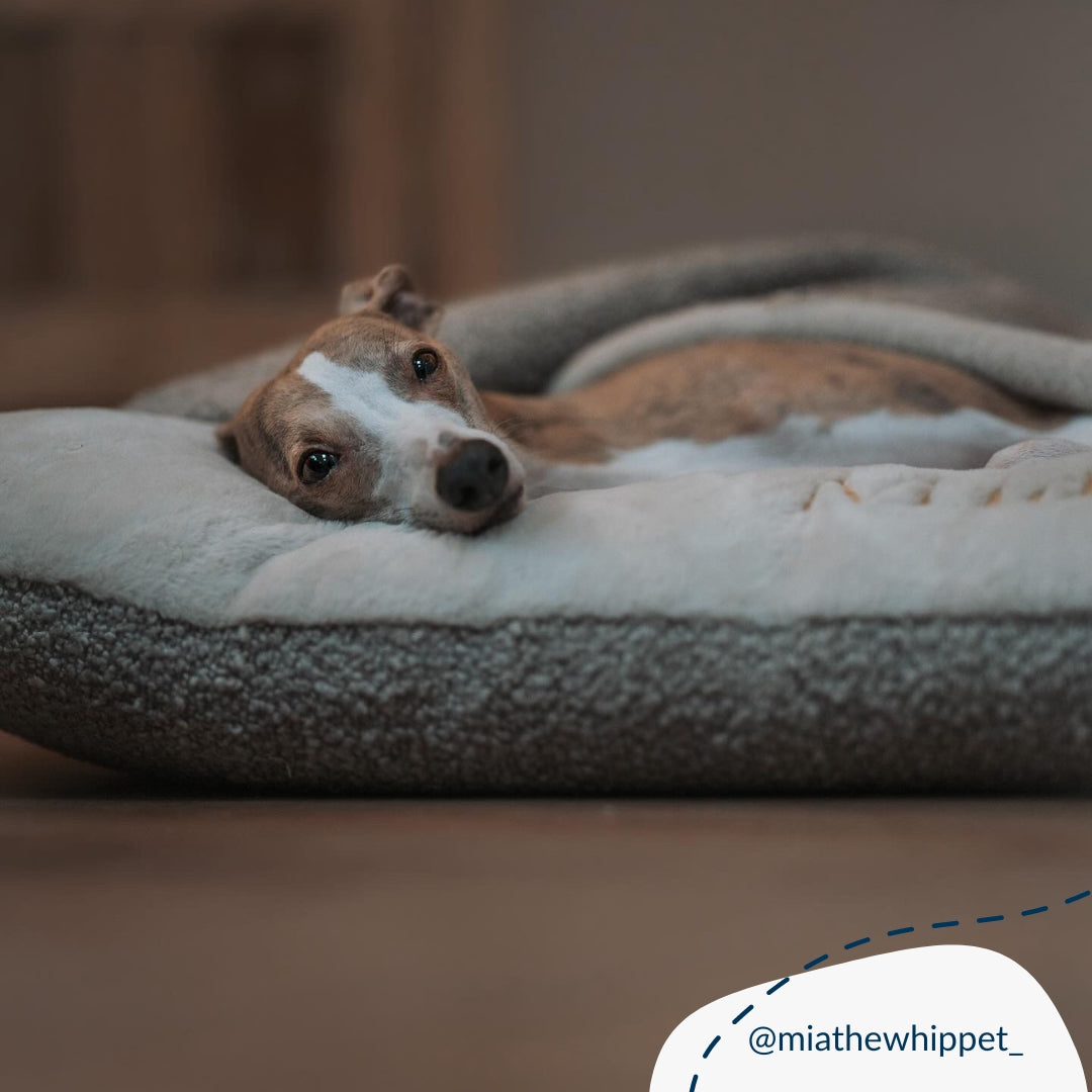 Sleepy Burrows Bed With Removable Cover in Mink Bouclé, view 9