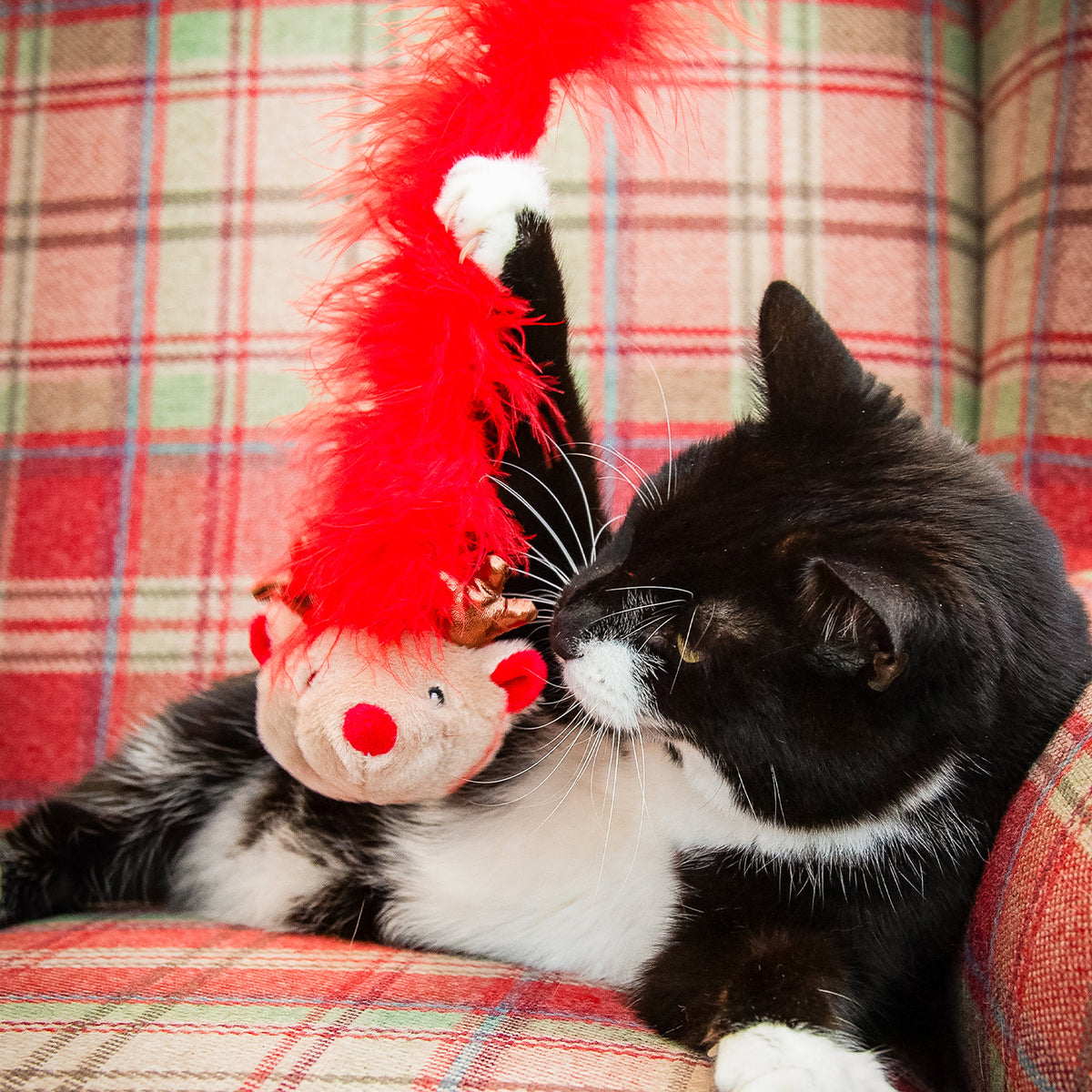 Roxy Reindeer Cat Teaser, view 3