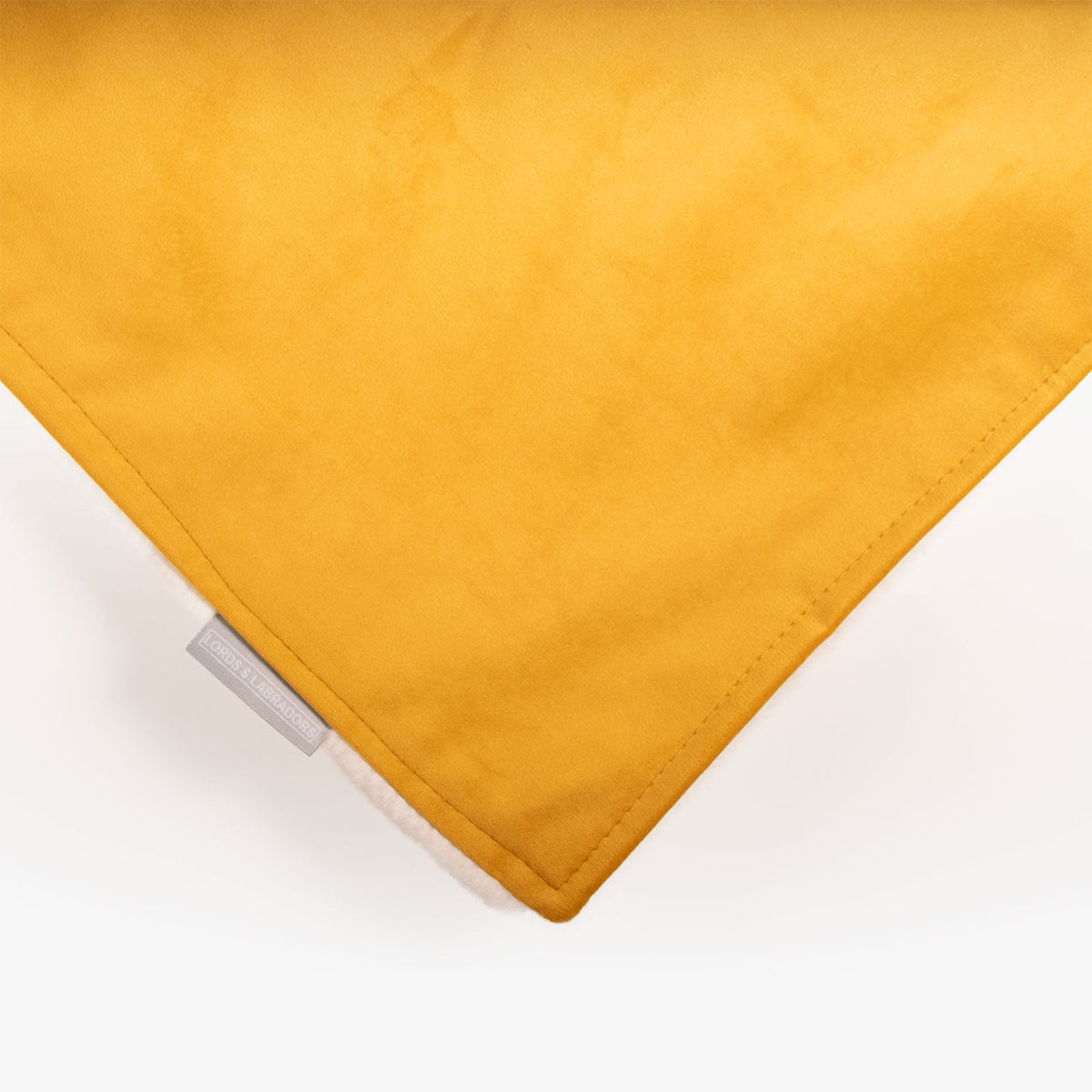 Dog & Puppy Blanket in Saffron Velvet, view 7
