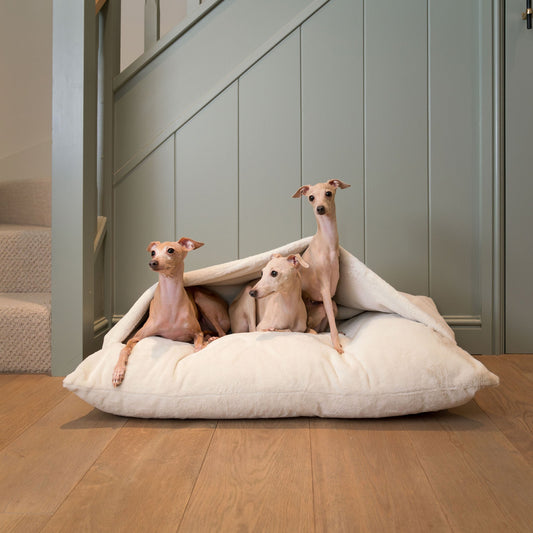 Sleepy Burrows Bed With Removable Cover in Calming Anti-Anxiety Cream Faux Fur