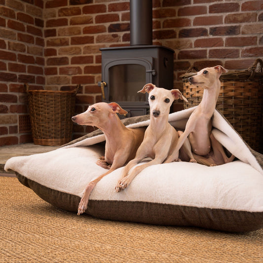 Sleepy Burrows Bed With Removable Cover In Inchmurrin Umber