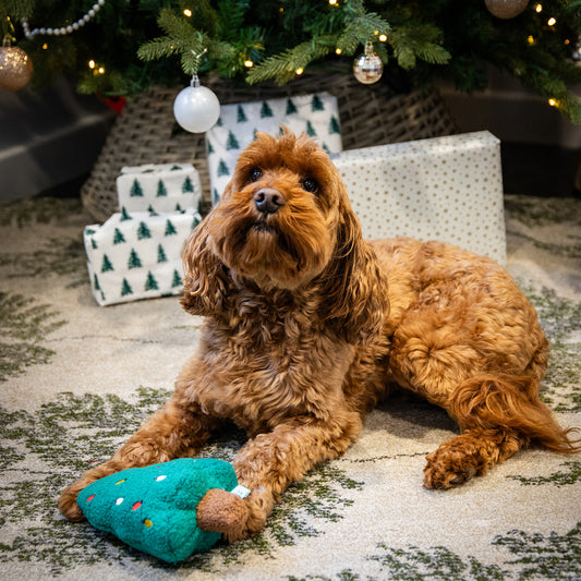 Tufflove Tree Dog Toy