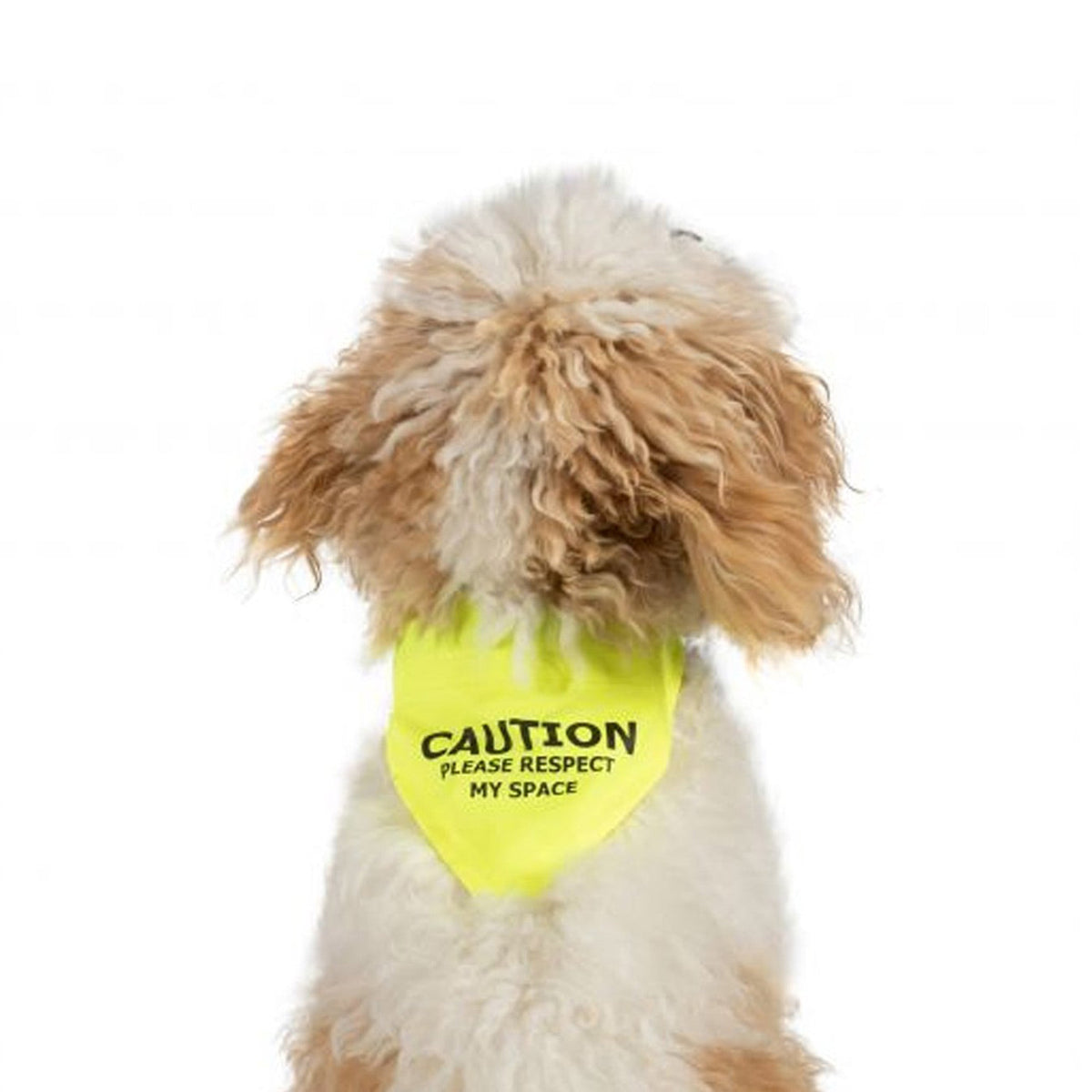 Ancol Hi Vis 'Respect my Space' Bandana, view 2