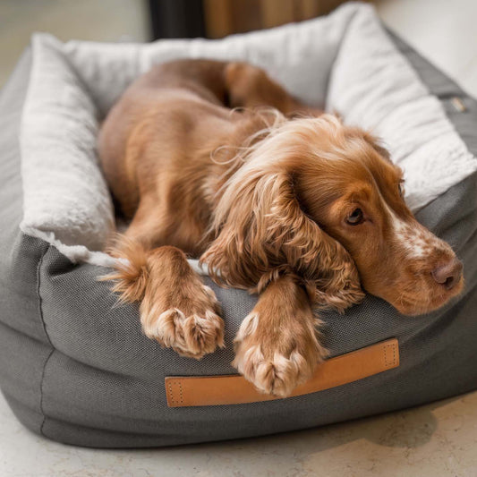 Essentials Twill Box Bed in Slate