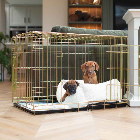 Dog Crate with Cosy & Calming Puppy Crate Bed in Ivory Bouclé