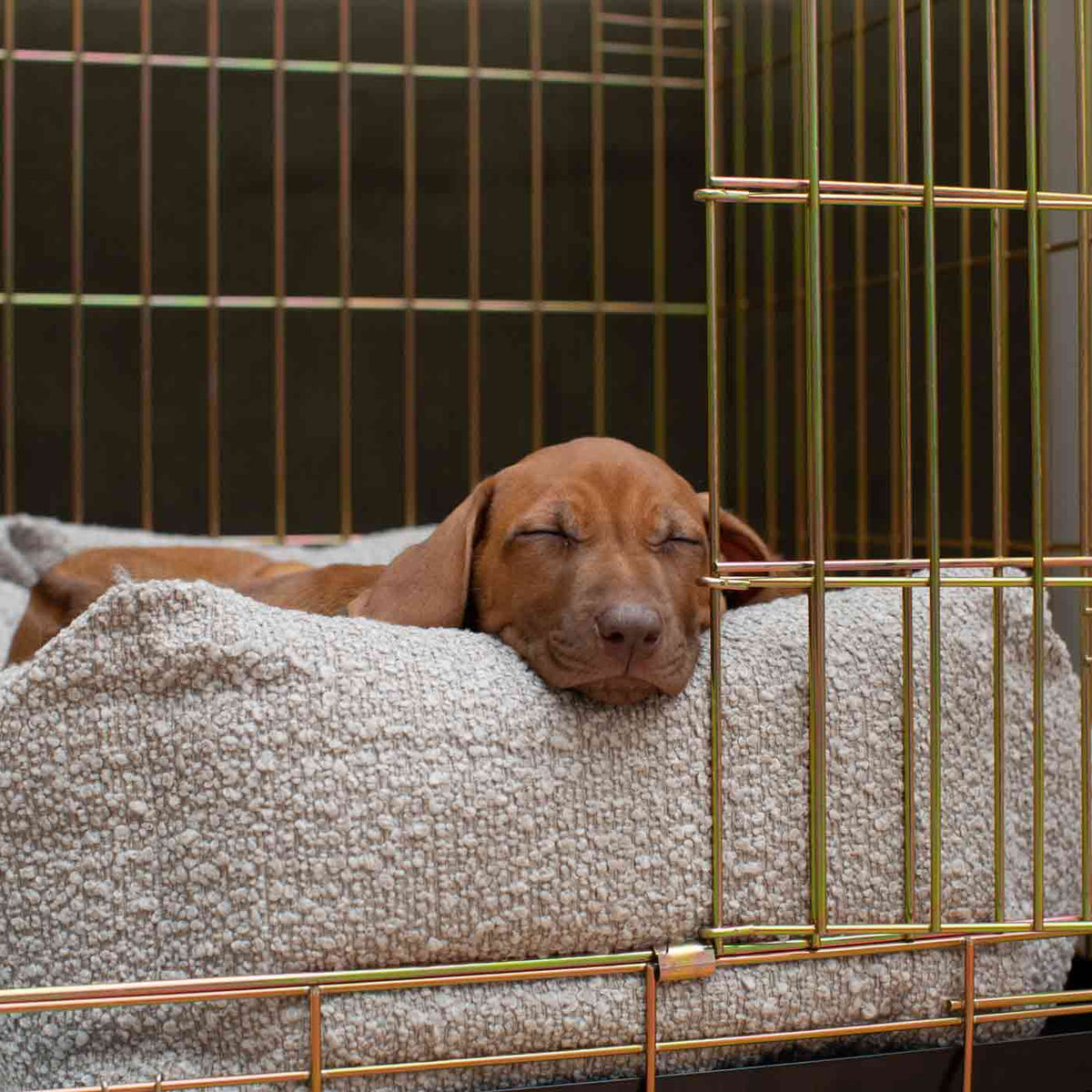 Dog Crate with Cosy & Calming Puppy Crate Bed in Mink Bouclé, view 6