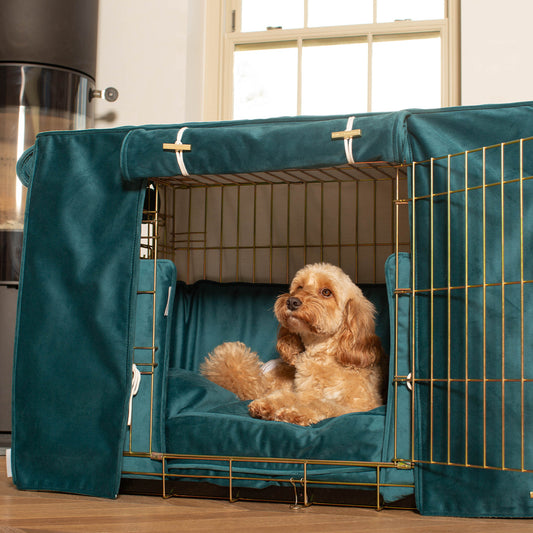 Dog Crate Set In Marine Velvet