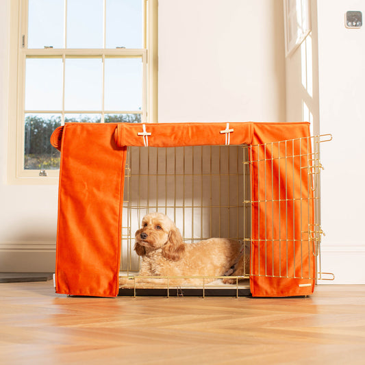 Dog Crate Cover In Pumpkin Velvet